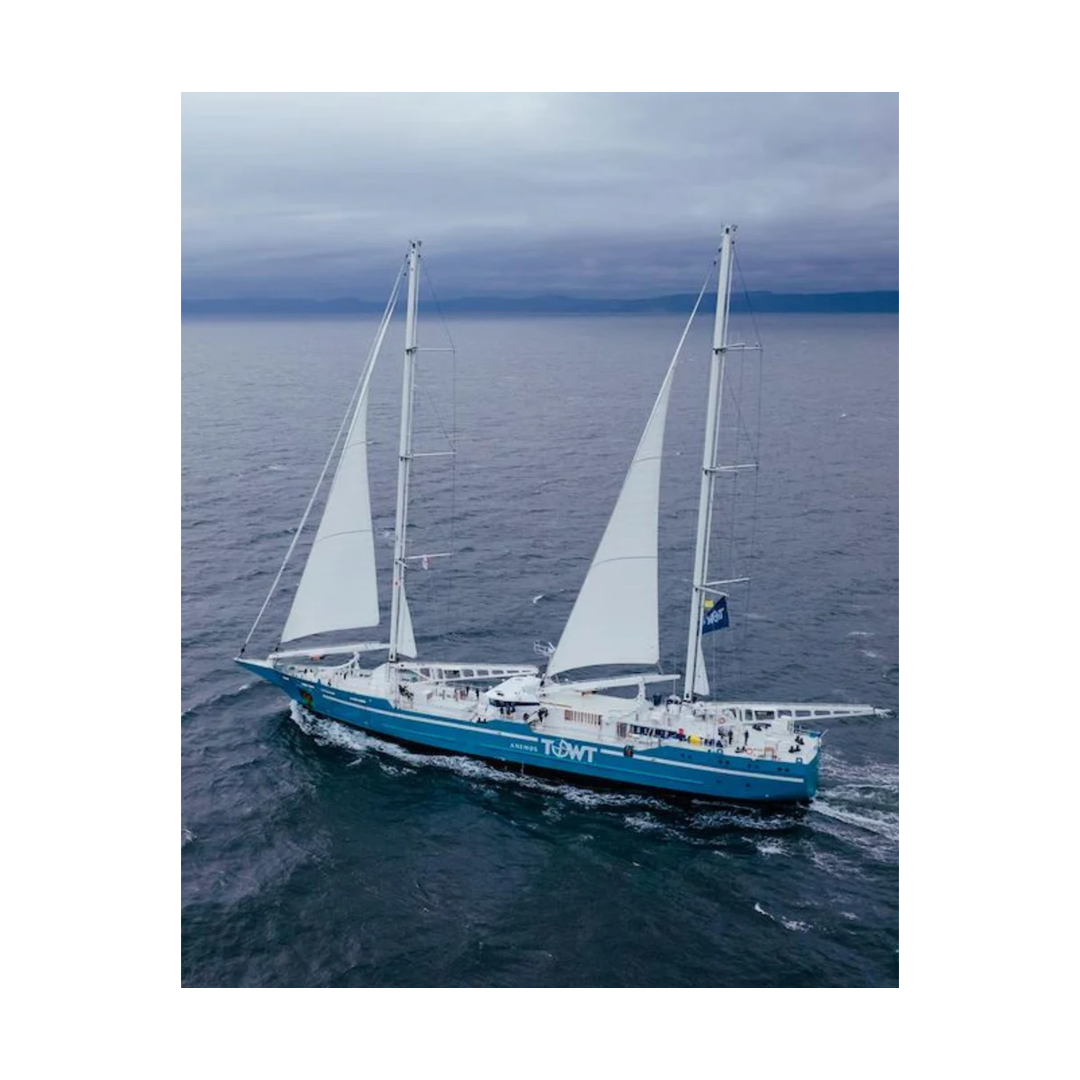 Santa Maria - BIO - Grain